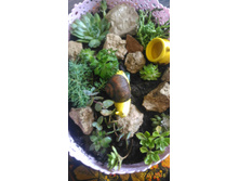 P 20160727 114346 1 p.jpg