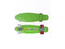 ���� �������� ������