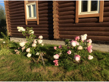 ����� "��������" ������� ���.