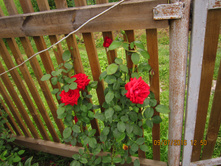 �������� 011.jpg