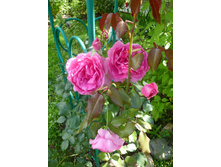 �������