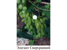 �������� ������� ����������� 160���..jpg