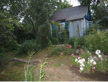 IMG 0642.JPG