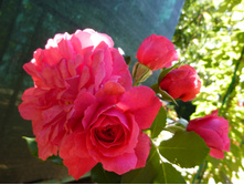 �������� �������