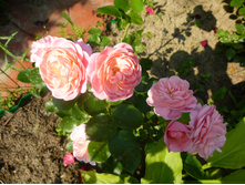 ��������?