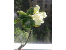 2016-06-04 09.21.27.jpg