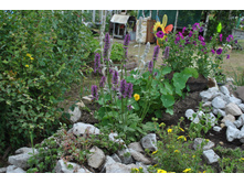 ������ �������