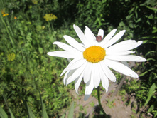 ���� 026.jpg