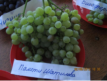 �������� ������ �������� 160���..jpg