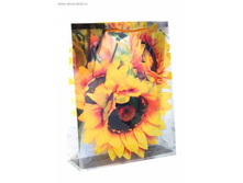 ����� �����������, ������� "����������" ���� 15���/��.