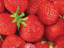 ������ ��� ������ "��������" N*SA*H*50 - ��������