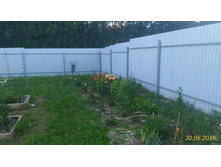 P 20160630 192032 1 p.jpg