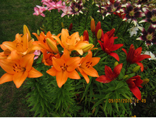 ����� �����