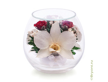 ���������� �� ��� � ������� (���. BmiM-02) - 1019 ���+%.jpeg