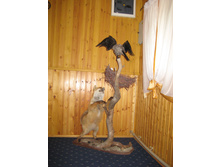 IMG 3260.JPG