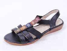 450x350-bosonozhki purlina d11 chernyy 0011 1.33c.png