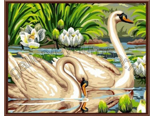 GL6474 ���������� �����.jpg