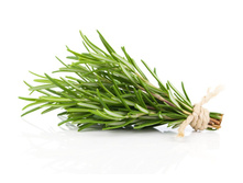 �������� ���������.jpg