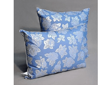 100 ���/��.