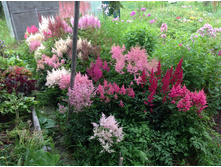 �������� � ����