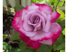 �������.