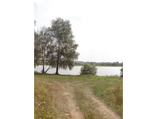 IMG 20160731 140624.jpg