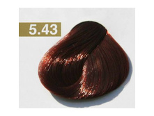 5.43 (5DR) ����-������ Nouvelle, BRONZES	-153 ���