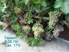 �������� ������ 160���..jpg