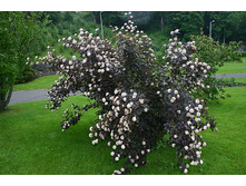 ������������� ������ 2-����� 280���.jpg