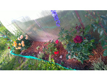 ������� (21).JPG