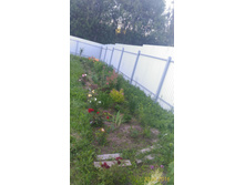 P 20160630 192137 p.jpg