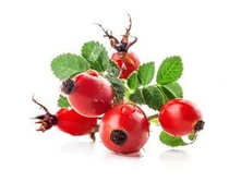 �������� ���������.jpg