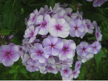 ���� �̣� ���1.JPG