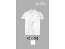 ���. C61109S.jpg