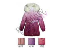 15672 ��1818.jpg