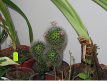 ���������� �������� ���������������, 02.07.2016