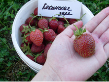 ��������� ���� *