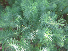 ���� 019.jpg