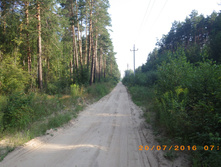 05.JPG