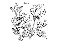 Coloring-pages-flowers-zezag-25s.jpg