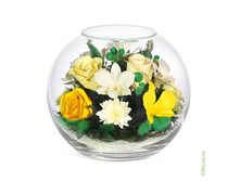 ���������� �� ��� � ������� (���. BNM2) -2156 ���+%.jpeg