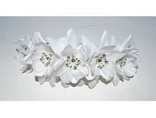 ��������� ��� ����� 1 -------- 290 ���