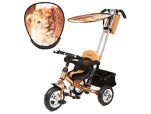 75 ��������� ������������ "LT Next",