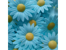 ������ 13*042*RC "����������"