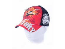 �������� ���� ������� (���������) ��� BC-SW-2 292 ���