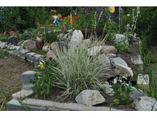 �������. ����� ����