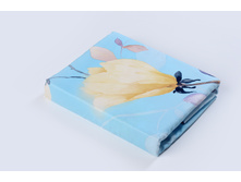 Locket ������������.JPG