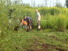 IMG 20160723 171015.jpg