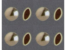 ���������� �����, ������ �������