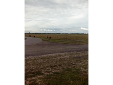 IMG 20160709 173442.jpg